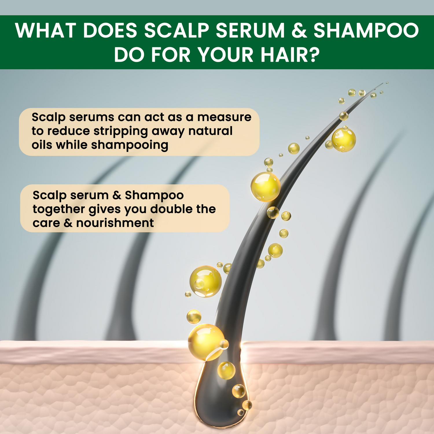 Alps Goodness Anti Hairfall Solution Combo (Anti Hairfall Shampoo & Anti Hairfall Scalp Serum) | Grocsy