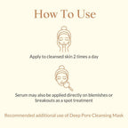 Shankara by Sri Sri Tattva Blemish Support Serum | Grocsy