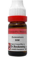 Dr. Reckeweg Dulcamara Dilution | Grocsy