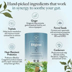 Wellbeing Nutrition Digest Green Tea | Grocsy