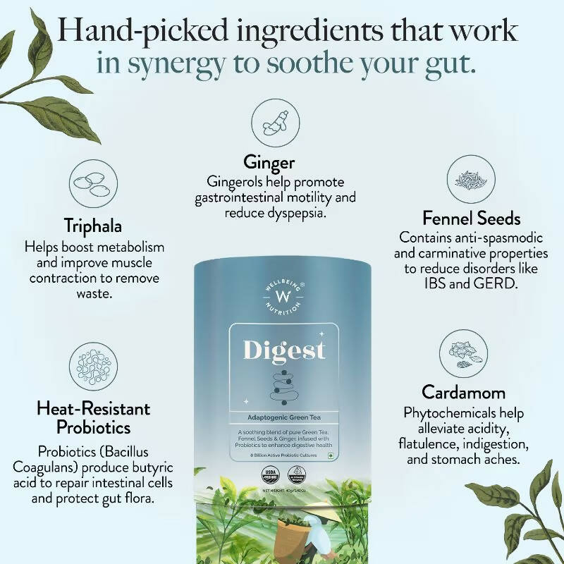 Wellbeing Nutrition Digest Green Tea | Grocsy