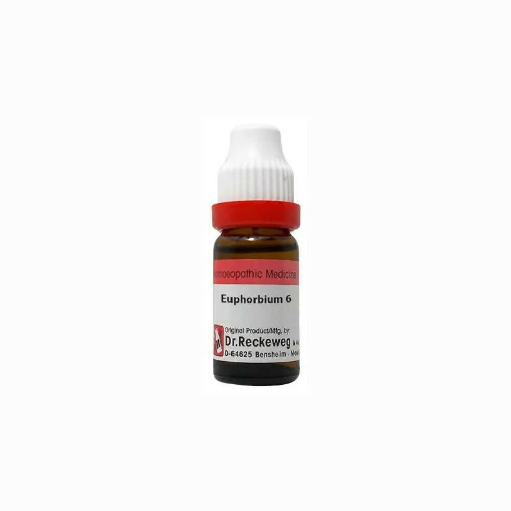 Dr. Reckeweg Euphorbium Dilution | Grocsy