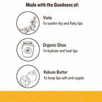 Soultree Viola & Kokum Butter Lip Balm | Grocsy