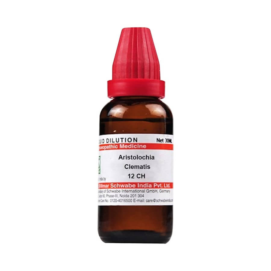 Dr. Willmar Schwabe India Aristolochia Clematitis Dilution | Grocsy