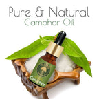 Old Tree Camphor Essential Oil | Grocsy