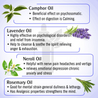 Keya Seth Aromatherapy Graine Out Natural Therapeutic Essential Oil | Grocsy