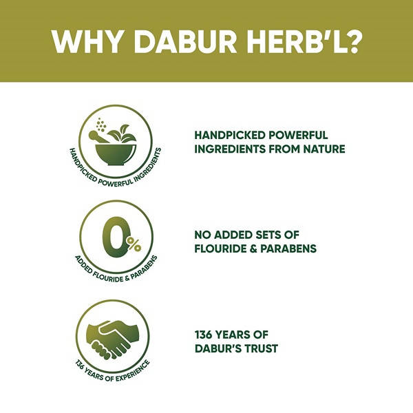 Dabur Herb'l Neem Germ Protection Complete Care Toothpaste | Grocsy