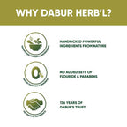 Dabur Herb'l Neem Germ Protection Complete Care Toothpaste | Grocsy