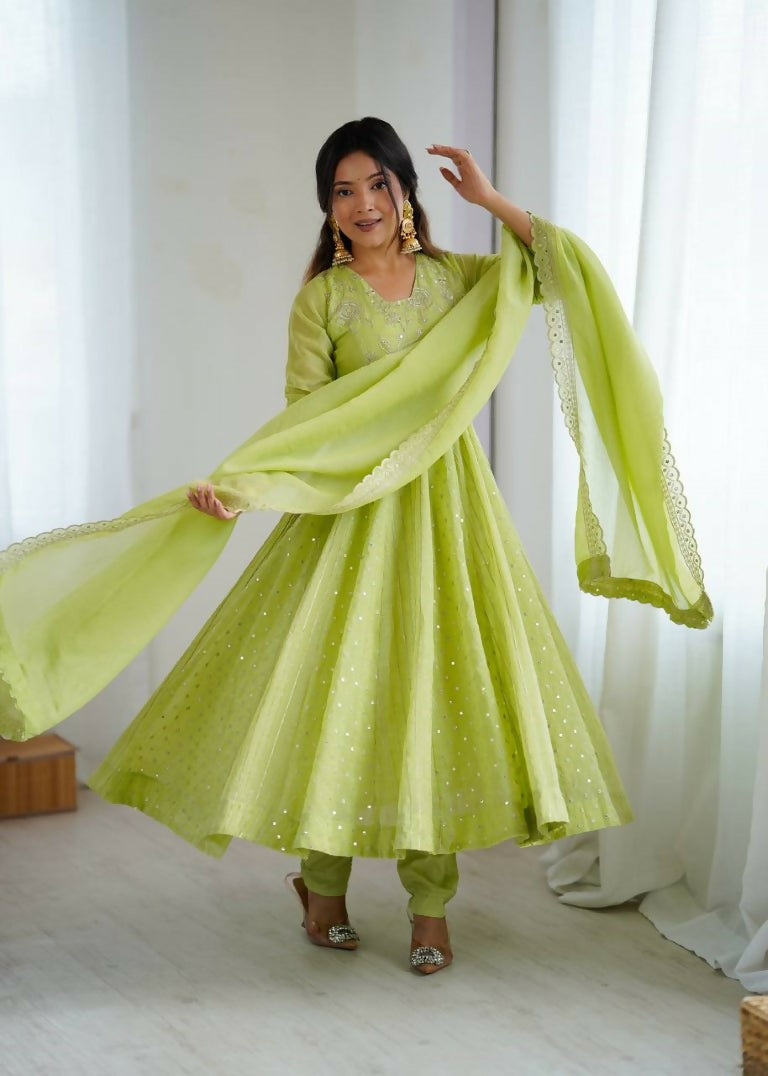 Teeya Creation Pista Green Color Heavy Crunchy Silk Embroidery Work Gown | Grocsy