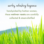 Love Beauty And Planet Tea Tree Peppermint & Vetiver Clarifying Shampoo | Grocsy