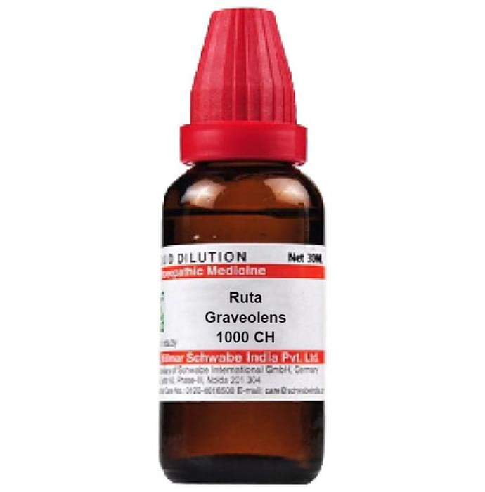 Dr. Willmar Schwabe India Ruta Graveolens Dilution | Grocsy