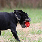 Goofy Tails Dog Ball Dog Toys Spiked Rubber Ball | Grocsy