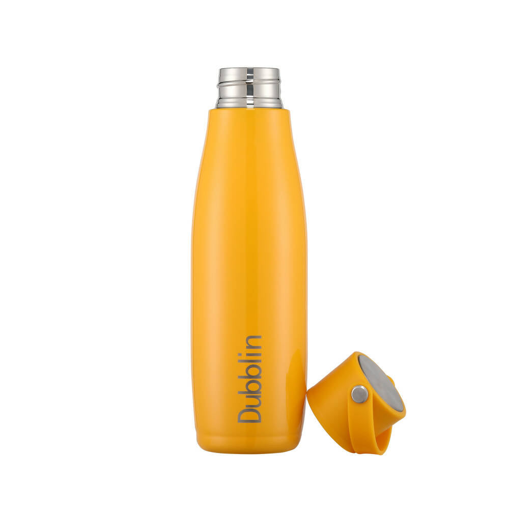 Dubblin Kiwi Vacuum Bottle | Grocsy