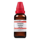 Dr. Willmar Schwabe India Chimaphila Umbellata Dilution | Grocsy