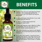 Luxura Sciences Amla Oil | Grocsy