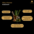 Prakruth Care Ayurvedic Inspired Rosemary Hair Oil | Grocsy