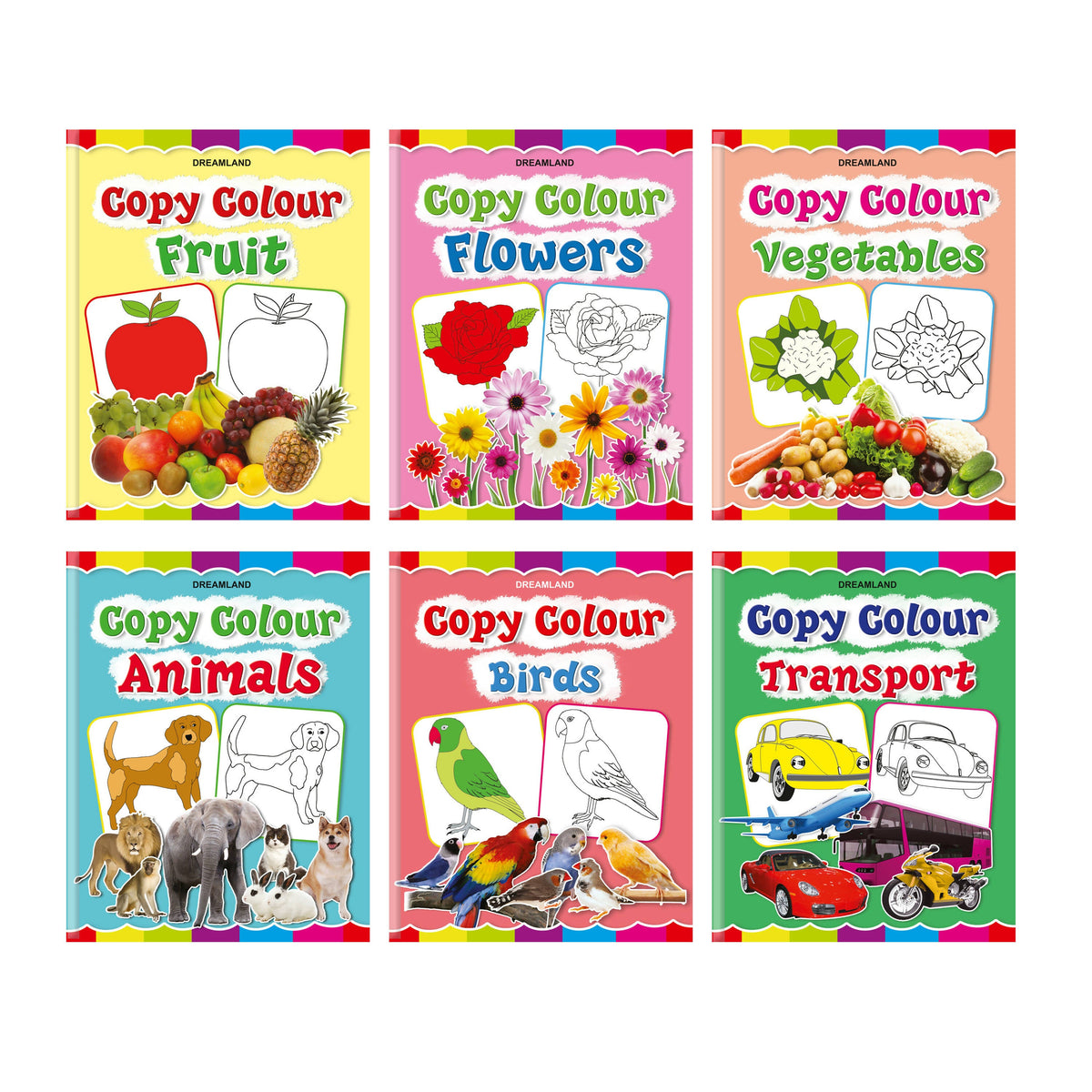 Dreamland Copy Colour Book - 1 to 6 (Pack) | Grocsy