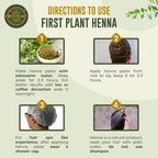 First Plant Premium Rajasthani Henna Powder | Grocsy