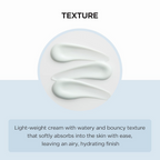 SKIN1004 Madagascar Centella Hyalu-Cica Moisture Cream | Grocsy