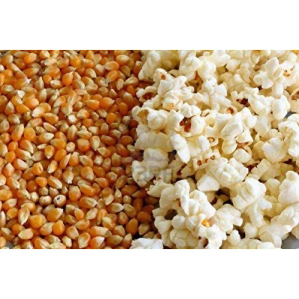 FreshoCartz Popcorn Kernel Seeds | Grocsy