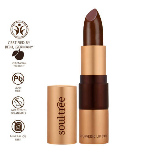 Soultree Ayurvedic Lipstick Creamy Cacao 815 | Grocsy