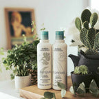 Aveda Travel Size Shampure Nurturing Shampoo | Grocsy
