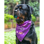 Waggety Dog Bandana - Fluffy Not Fat, Design Soft Fabric, Stylish Pet Accessory for Dogs - Purple | Grocsy