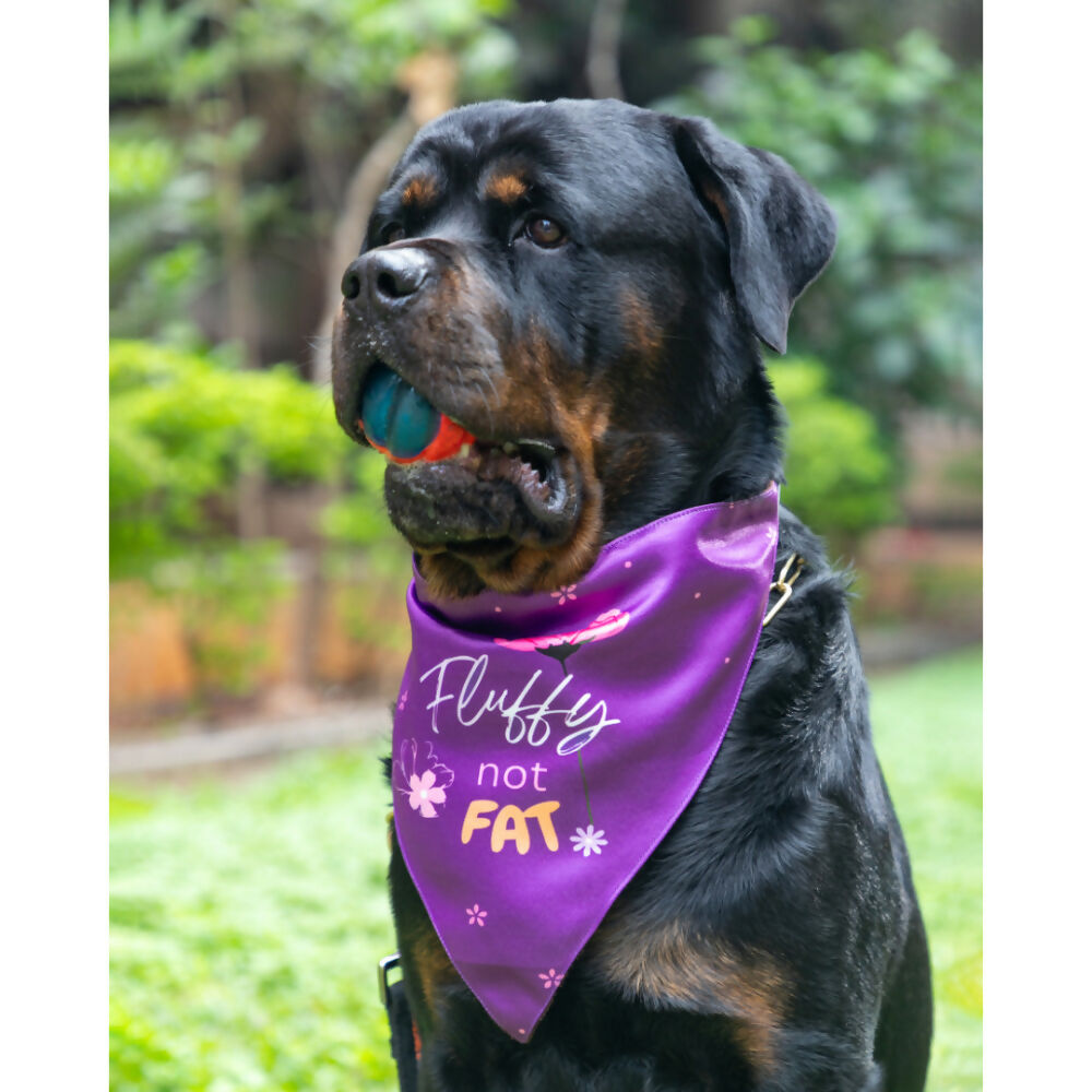 Waggety Dog Bandana - Fluffy Not Fat, Design Soft Fabric, Stylish Pet Accessory for Dogs - Purple | Grocsy