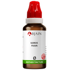 Bjain Homeopathy Ulmus Fulva Mother Tincture Q | Grocsy