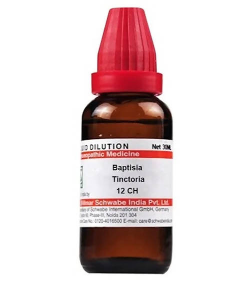 Dr. Willmar Schwabe India Baptisia Tinctoria Dilution | Grocsy