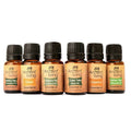 Ancient Living 6 Essential Oils Set | Grocsy