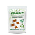 Yuvagrow Mango Candy | Grocsy