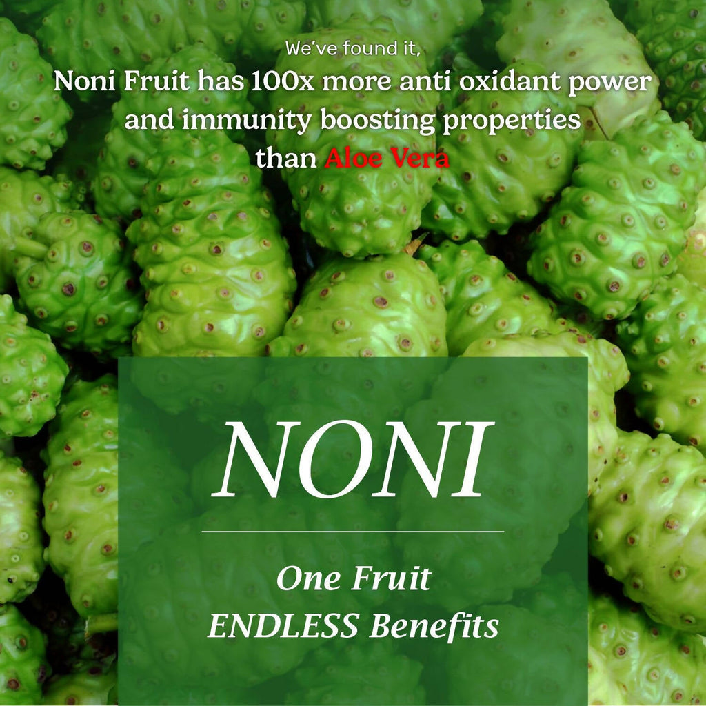 The Dave's Noni 24 Hour Oral Care Toothpaste | Grocsy