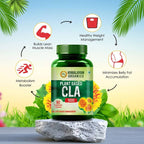 Himalayan Organics Plant Based CLA 1000 Healthy Weight Management Vegetarian Capsules | Grocsy