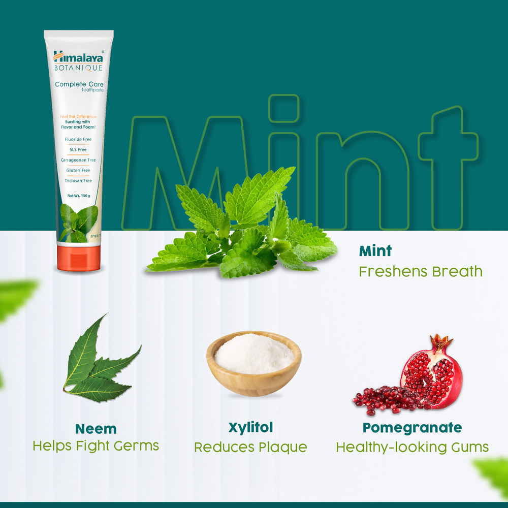 Himalaya Botanique Complete Care Toothpaste (Simply Mint) | Grocsy