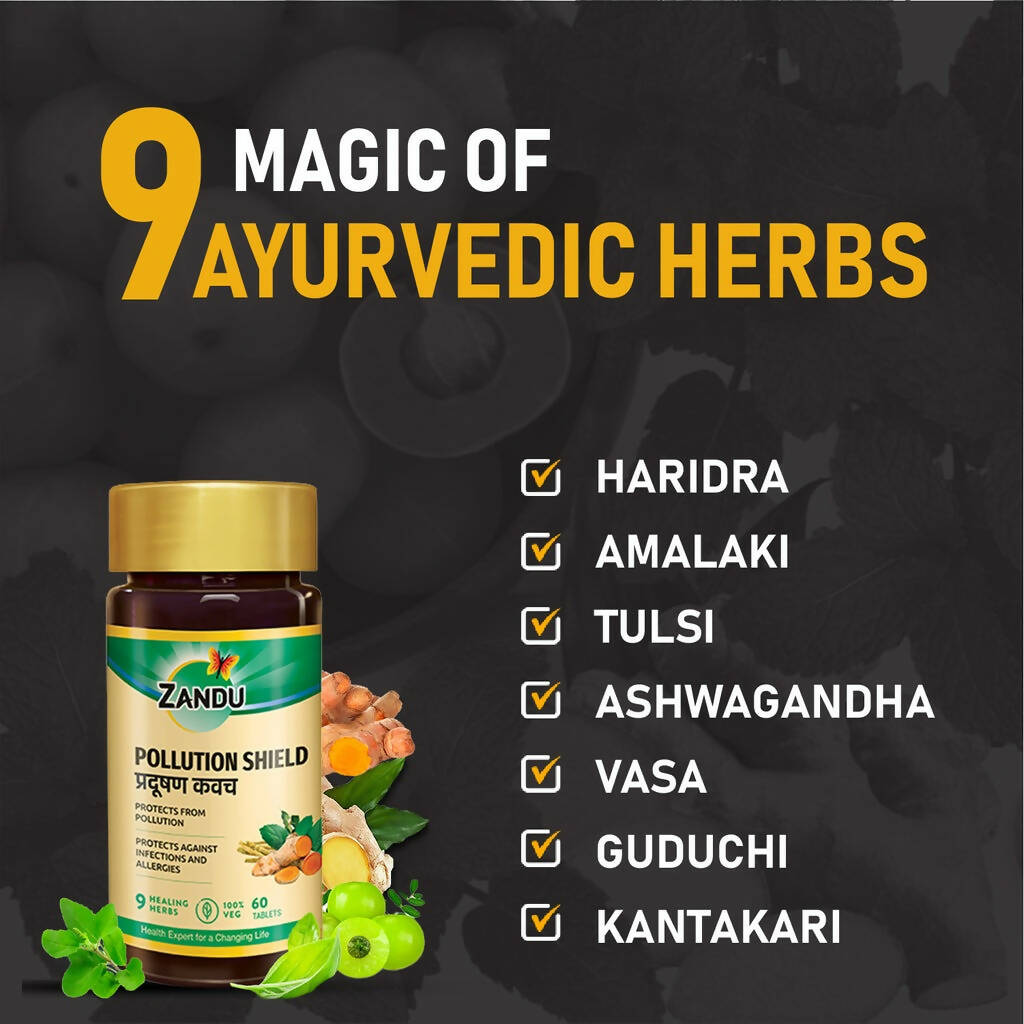 Zandu Pollution Shield Tablets | Grocsy
