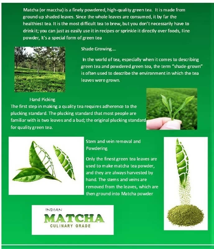 Dophie Matcha Green Tea Powder Culinary Grade | Grocsy