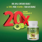 Dwibhashi Amalaki Tablets | Grocsy