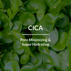 Lotus Botanicals Cica Pore Minimizing Face Gel | Grocsy
