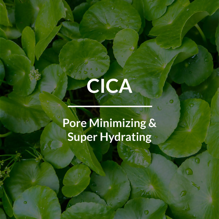 Lotus Botanicals Cica Pore Minimizing Face Gel | Grocsy