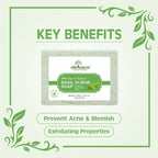 Earth Science Ayurveda Basil Scrub Bath Soap | Grocsy
