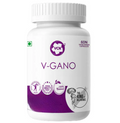 VCN V-Gano Diabetes Capsules | Grocsy