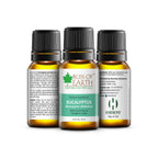 Bliss of Earth Premium Essential Oil Eucalyptus | Grocsy