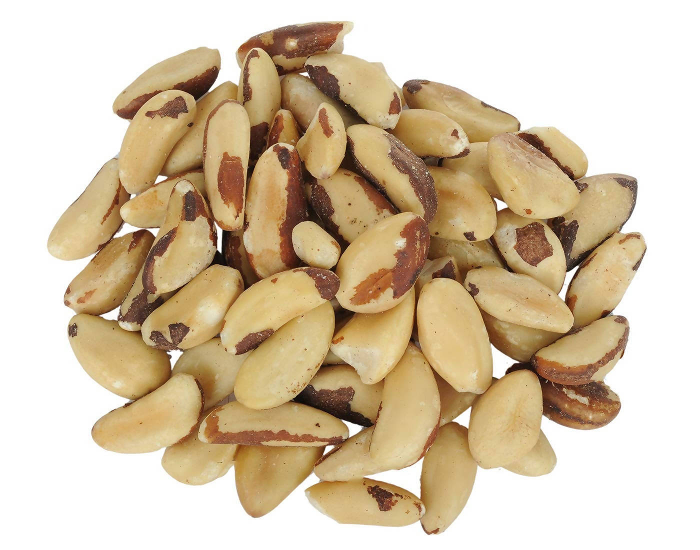 Dry Fruit Hub Brazil Nuts | Grocsy