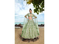House of Panchhi Lime green Net Multi Sequins with heavy Zarkan embroidery Lehenga choli & Dupatta | Grocsy