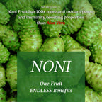 The Dave's Noni Nourishing Secrets Shampoo with Conditioner | Grocsy