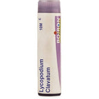 Boiron Homeopathy Lycopodium Clavatum | Grocsy