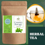 Satvi Wellness Karpooravalli Tea Bags | Natural Indian Borage| Panikoorkka dried | Onavalli | Patharchur | Grocsy