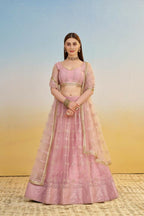 Aastha Fashion Pink Butterfly Net Tone To Tone Cotton Thread Work And Sequence Work Embroidery Wedding Wear Lehenga Choli | Grocsy