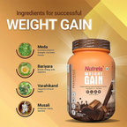 Patanjali Nutrela Weight Gain Chocolate Flavour | Grocsy